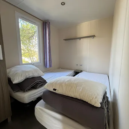 Au Coeur De La Pinede Camiers