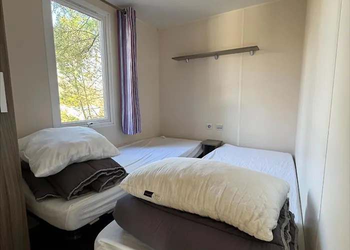 Au Coeur De La Pinède Camiers